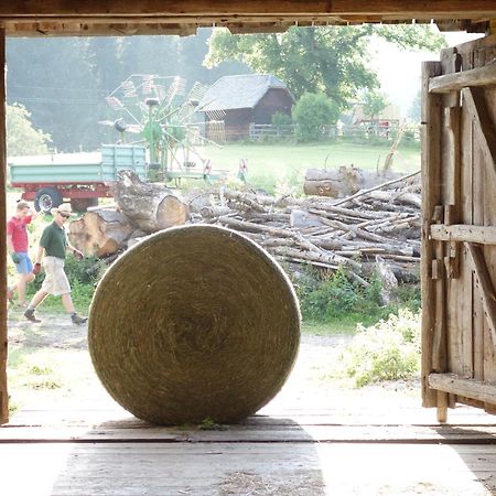 Urlaub Am Bio-Bauernhof Liebchen Zeutschach Exterior foto