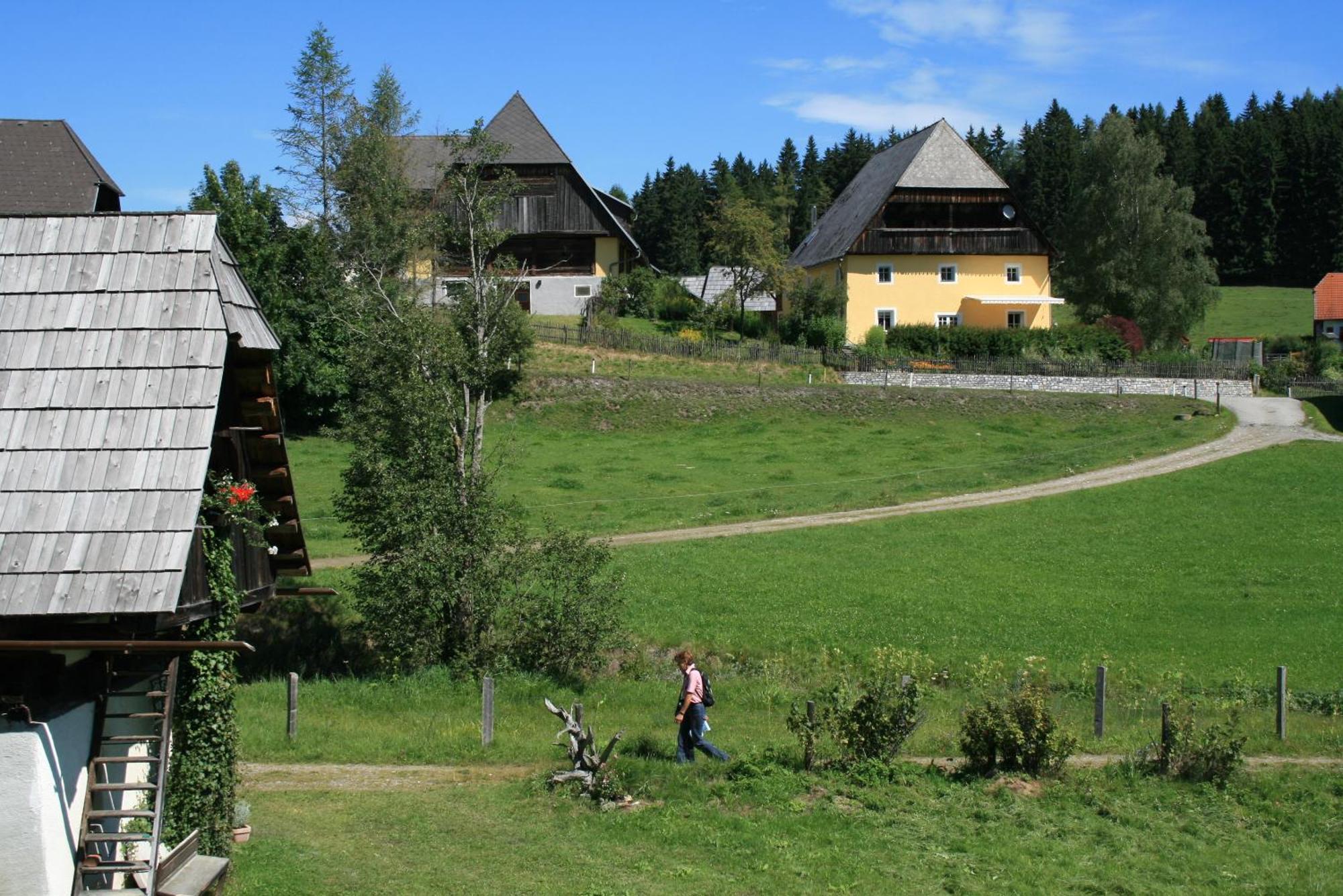 Urlaub Am Bio-Bauernhof Liebchen Zeutschach Exterior foto